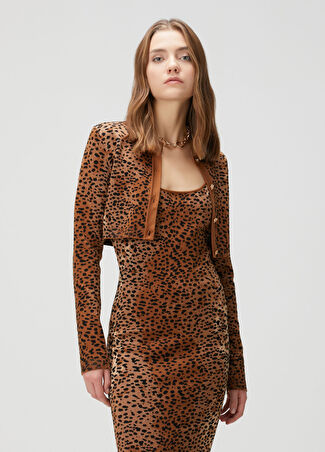 Versace Kadın Leopar Jakarlı Crop Hırka Kahverengi 42 It