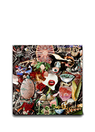 Eudoimoniart Sublime To The Ridiculous 120x120 Cm Tablo Çok Renkli -1