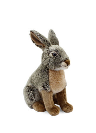 Animals Of The World Çocuk Oturan Yaban Tavşanı Peluş Oyuncak 28 Cm -1