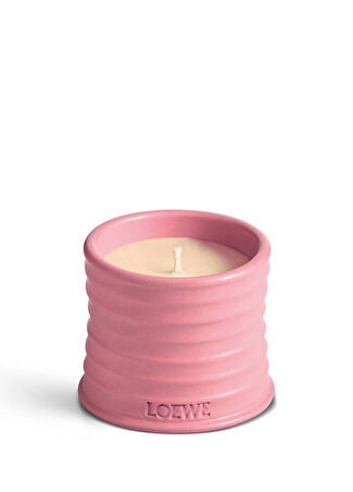 Loewe Ivy 170 Gr Mum Çok Renkli -1