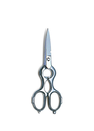 F.dick Sökülebilir Mutfak Makası 21 Cm Gümüş Rengi -1