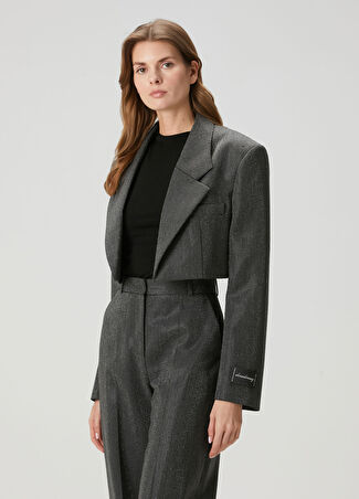 Alexander Wang Kadın Parlak Dokulu Crop Yün Ceket Gri M/l