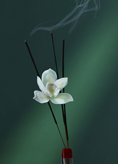 Penhaligon's Eau The Audacity EDP 50 ML Unisex Perfume - 5