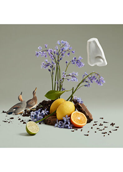 Penhaligon's Bluebell EDT 100 ML Unisex Perfume - 4