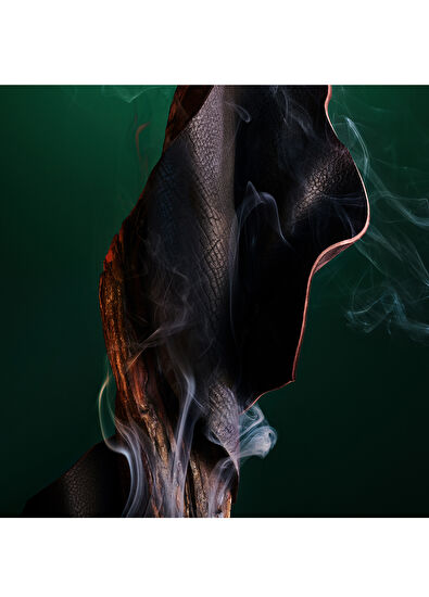 Bvlgari Le Gemme Falkar Edp 60 Ml Unisex Perfume - 3