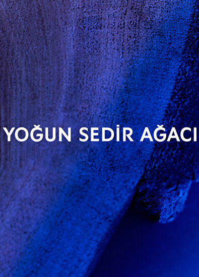 Yves Saint Laurent Y Men Le Parfum 60ml - 5