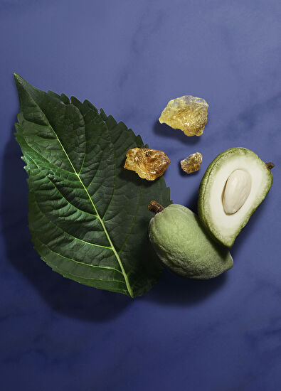 Giorgio Armani Armani/Privé Indigo Tanzanite EDP 100ml - 5