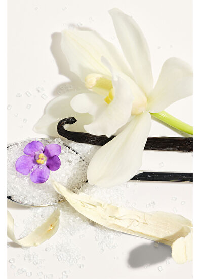 Sol de Janeiro Delicia Drench Body Butter Yoğun Nemlendirici Vücut Kremi 240 ml - 6
