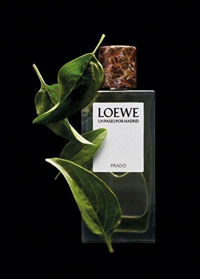 Loewe Un Paseo Por Madrid Prado 150 ml - 5