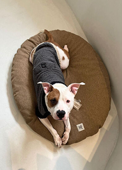 St. Pia Budu Köpek Yatağı - 4