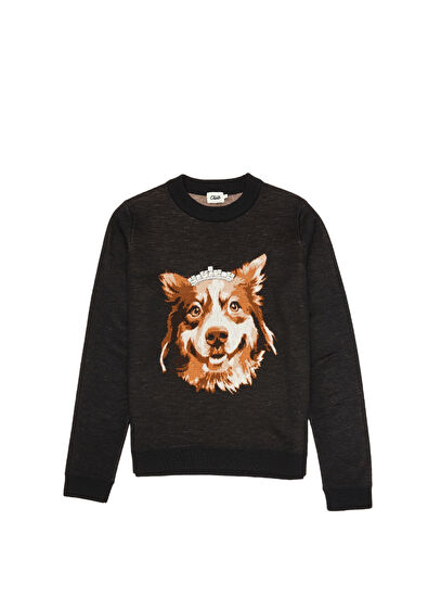 Beymen Club Siyah Taşlı Köpek Jakarlı Kazak - 7
