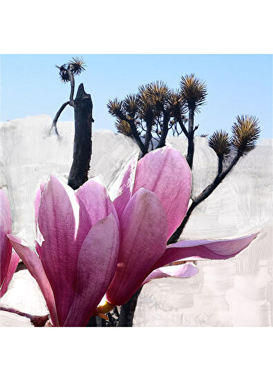 BYREDO Mojave Ghost Edp 50 ml Unisex Parfüm - 5