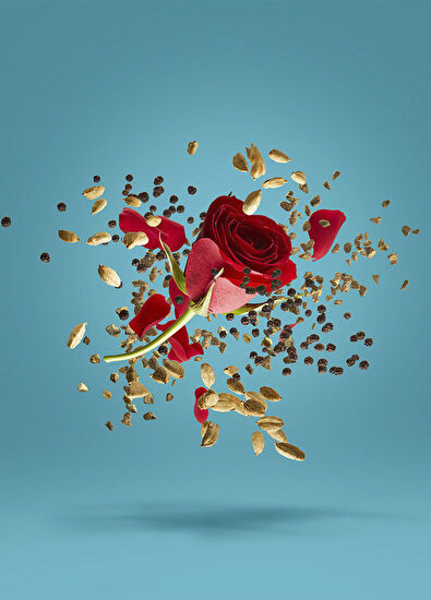 Xerjoff Blend GrooveXcape EDP 50ml Parfüm - 4