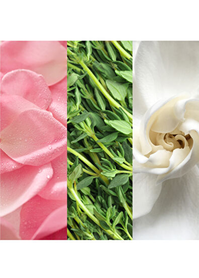 Mario Badescu Facial Spray Aloe Herbs Rosewater 59ml - 4