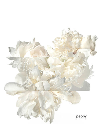 Hermès Twilly Eau Ginger Eau de Parfüm 50 ml - 5