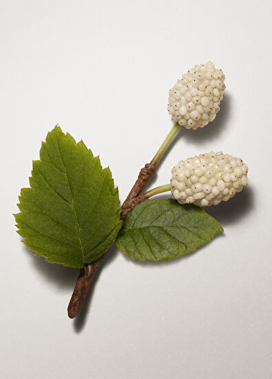 Hermès Plein Air 60 Sienne 40 ml Cilt Kremi - 5