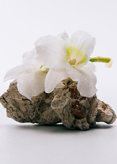 Loewe A Mi Aire EDT 100 ml Kadın Parfüm - 3