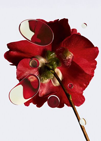 CHANEL N°1 De Skin Enhancer intense Amber 30Ml - 7