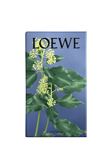 Loewe Ivy Home Fragrance 150 Ml - 5