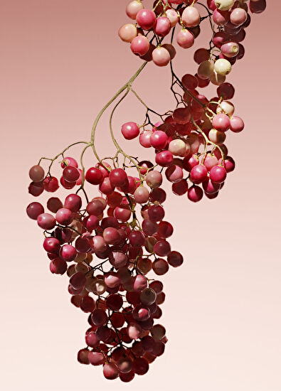 Giorgio Armani Armani/Privé Rouge Malachite EDP 100ml - 6