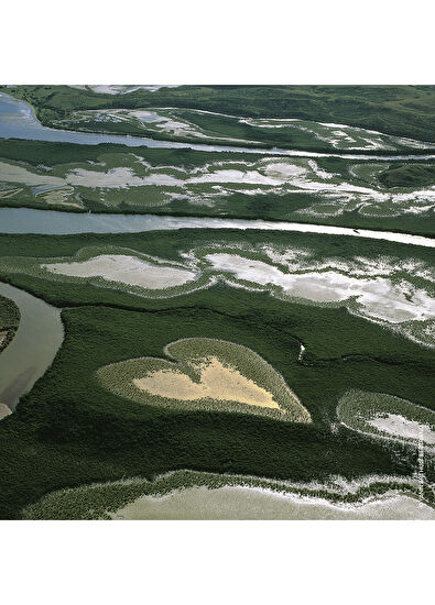 Guerlain Aqua Allegoria Herba Fresca EDT 75ml Unisex Parfüm - 3