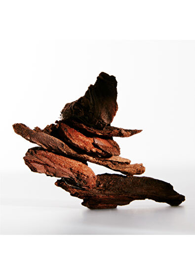 Loewe Debod EDP 100 ml Parfüm - 3