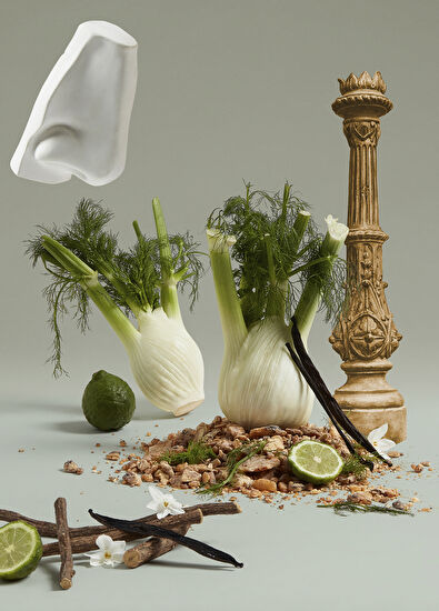 Penhaligon's Petra EDP 100 ML Perfume - 4