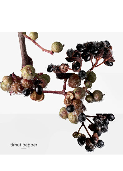 Hermès Terre d Hermes Eau Givree 100 ml Erkek Parfüm - 7