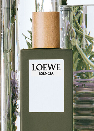 Loewe Essencia EDT 100 ml Erkek Parfüm - 4