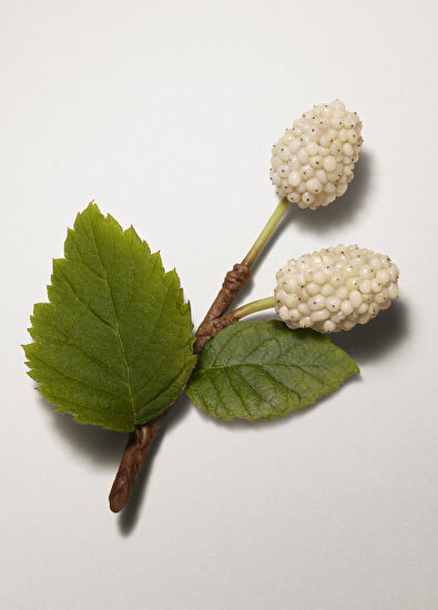 Hermès Plein Air 30 Ficelle 40 ml Fondöten - 5