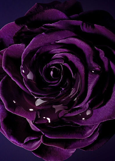 Lancome La Nuıt Tresor Edp 75Ml - 5