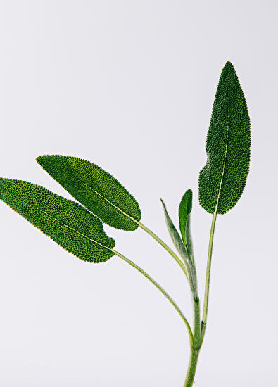 Loewe Loewe Solo Vulcan Edp 100 ml - 3