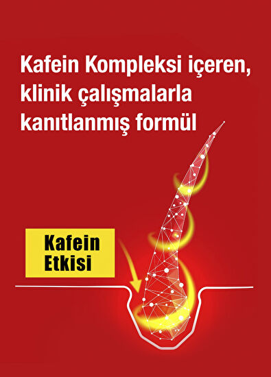 Alpecin C1 Kafeinli Dökülme Karşıtı 2'li Şampuan Seti 2 x 250 ml - 3