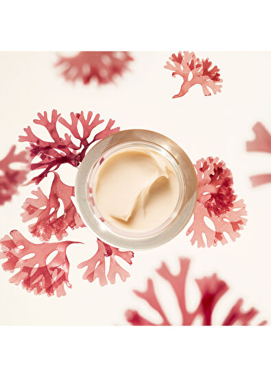 Shiseido Benefiance Wrinkle Smoothing Cream Enriched 50 ml - 4