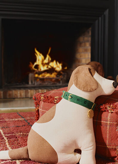 Lorena Canals Cooper Children's Room Pillow - 3