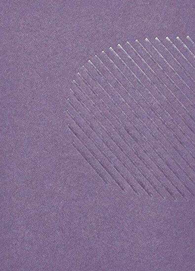 Nuuna Workbook Améthyste by MUT Design Studio Limited Edition Büyük Boy Noktalı Defter - 5