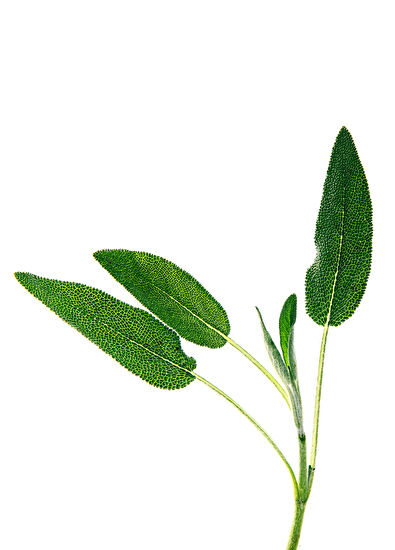 Loewe Un Paseo Por Madrid Prado 150 ml - 3