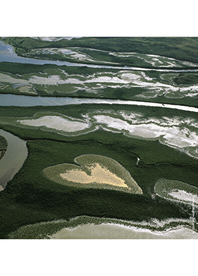 Guerlain Aqua Allegroria Orangre Soleia EDT 75ml Kadın Parf - 3