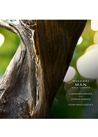 Bvlgari Man Wood Essence Eau de Parfum Refill 200ml - 5