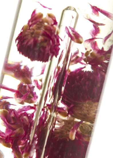 Pelcare Tropical Coco Multi Use Dry Oil Besleyici Nemlendirici Kuru Yağ 100 ml - 4