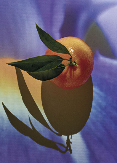 Loewe Solo Elixir 100 ml Erkek Parfüm - 3