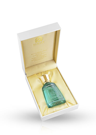 Renier Parfums Guanabo Extrait De 50 ml Erkek Parfüm - 3