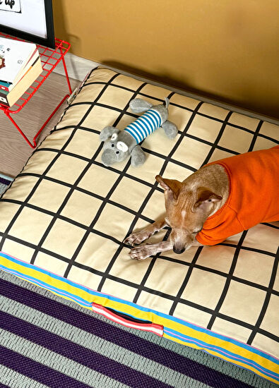 Patihaus Blend Minder Kedi ve Orta Irk Köpek Yatağı - 4