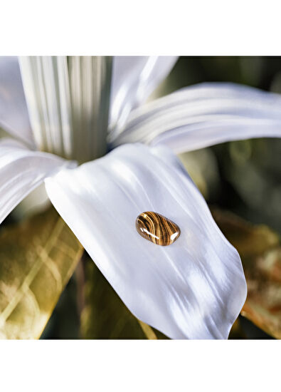 Bvlgari Le Gemme Tygar EDP 60 ml Unisex Parfüm - 5