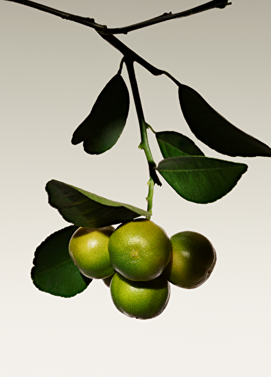 Giorgio Armani Armanı Prıve The Yulong Edt 100Ml - 7