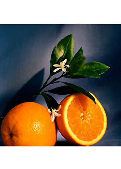 Loewe Orange Small Mum - 3