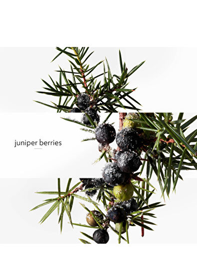 Hermès Terre d'Hermes Eau Givree EDP 50 ml Erkek Parfüm - 6