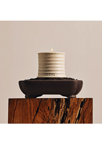 Loewe Tuberose Mum 170 gr - 4