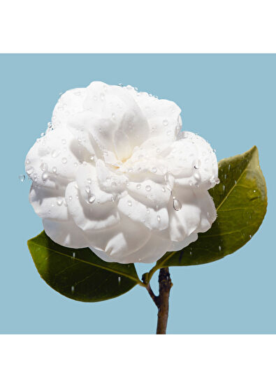 CHANEL DUDAK KALEMİ - 7