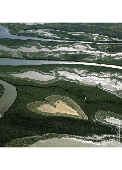 Guerlain Aqua Allegroria Nettare Di Sole EDT 75 ml Parfüm - 3